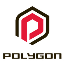 PolygonLogo_Webiste